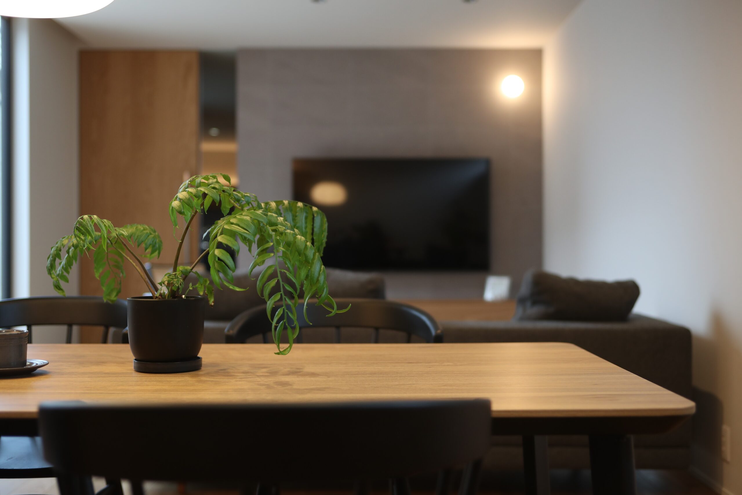 【四国中央スタジオ】モデルハウスモニターキャンペーン【オープン記念】